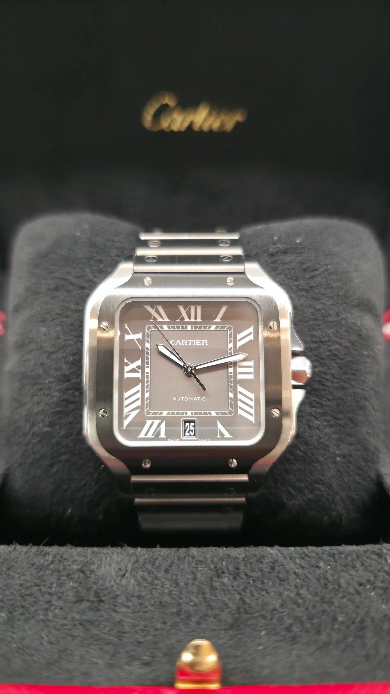 Cartier Santos de Cartier Large