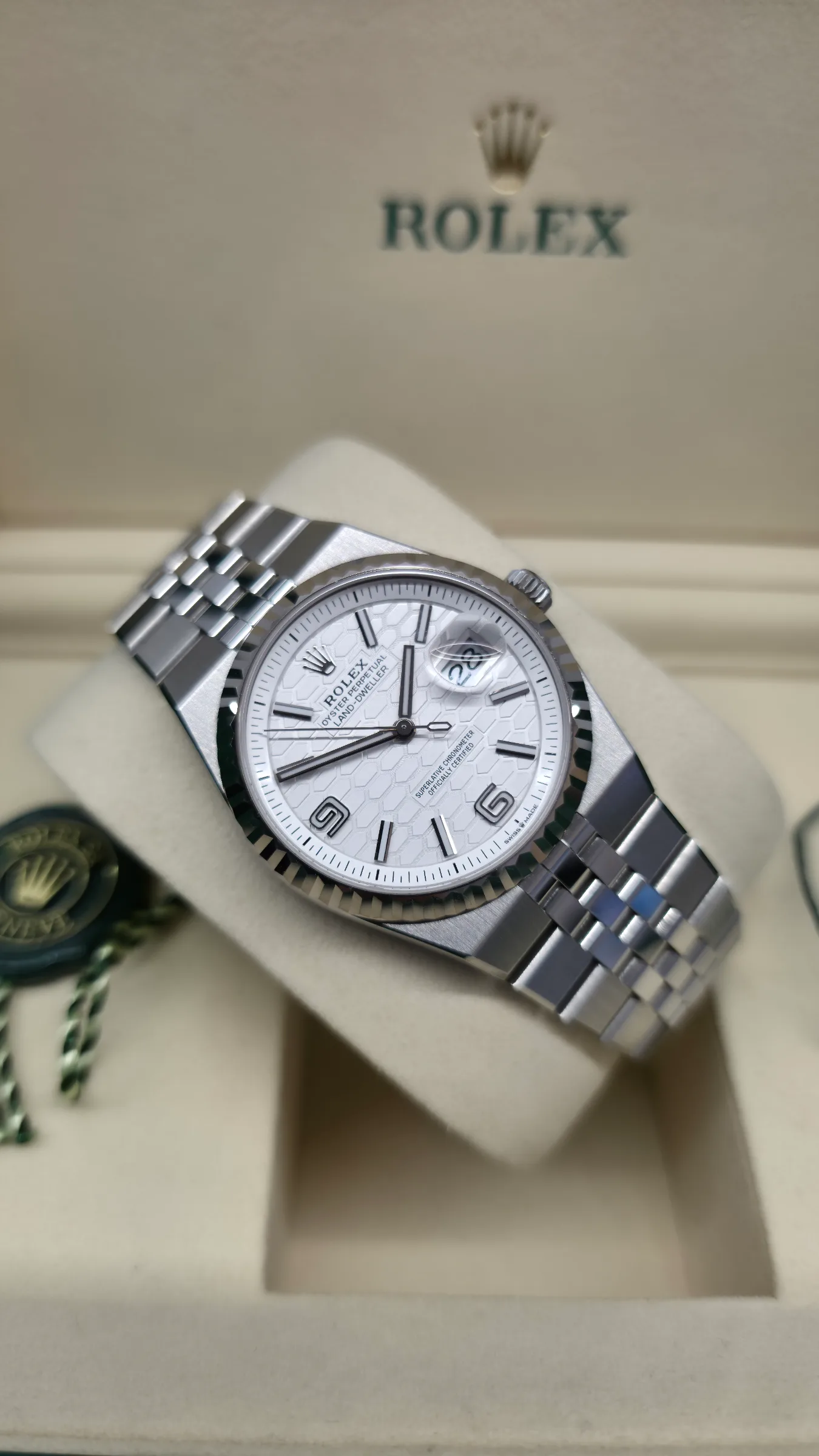 Rolex Land-Dweller 36mm – 127234 – 2025 1