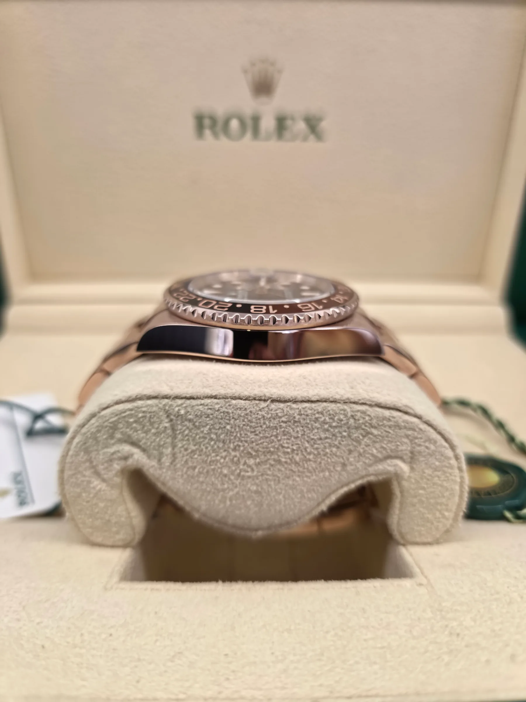 Rolex GMT-Master II “Root Beer”  3